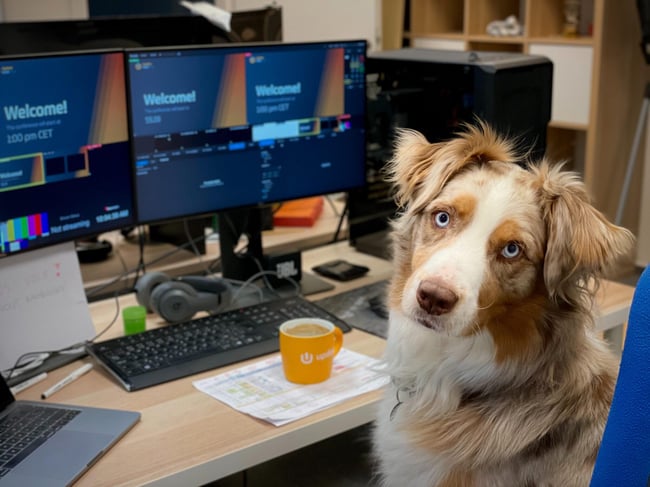 dog sitting at a computer desk with a cup of coffee