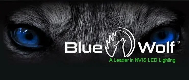 Blue Wolf Inc wolf