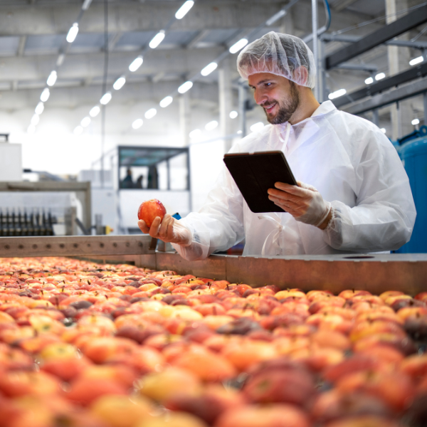 Agricultural Manufacturing Apples