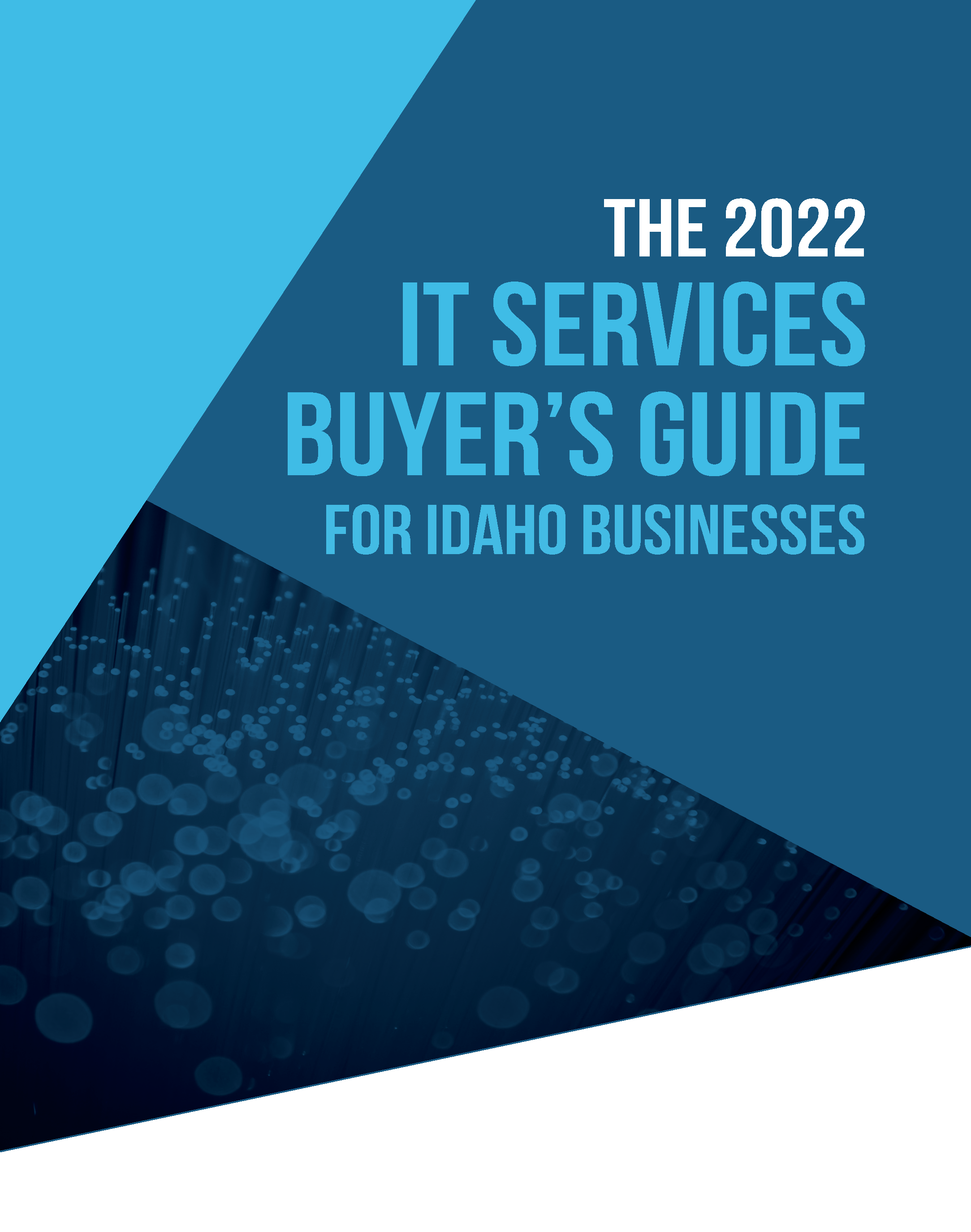 IT+Services+Buyers+Guide+2022+PDF_Page_01