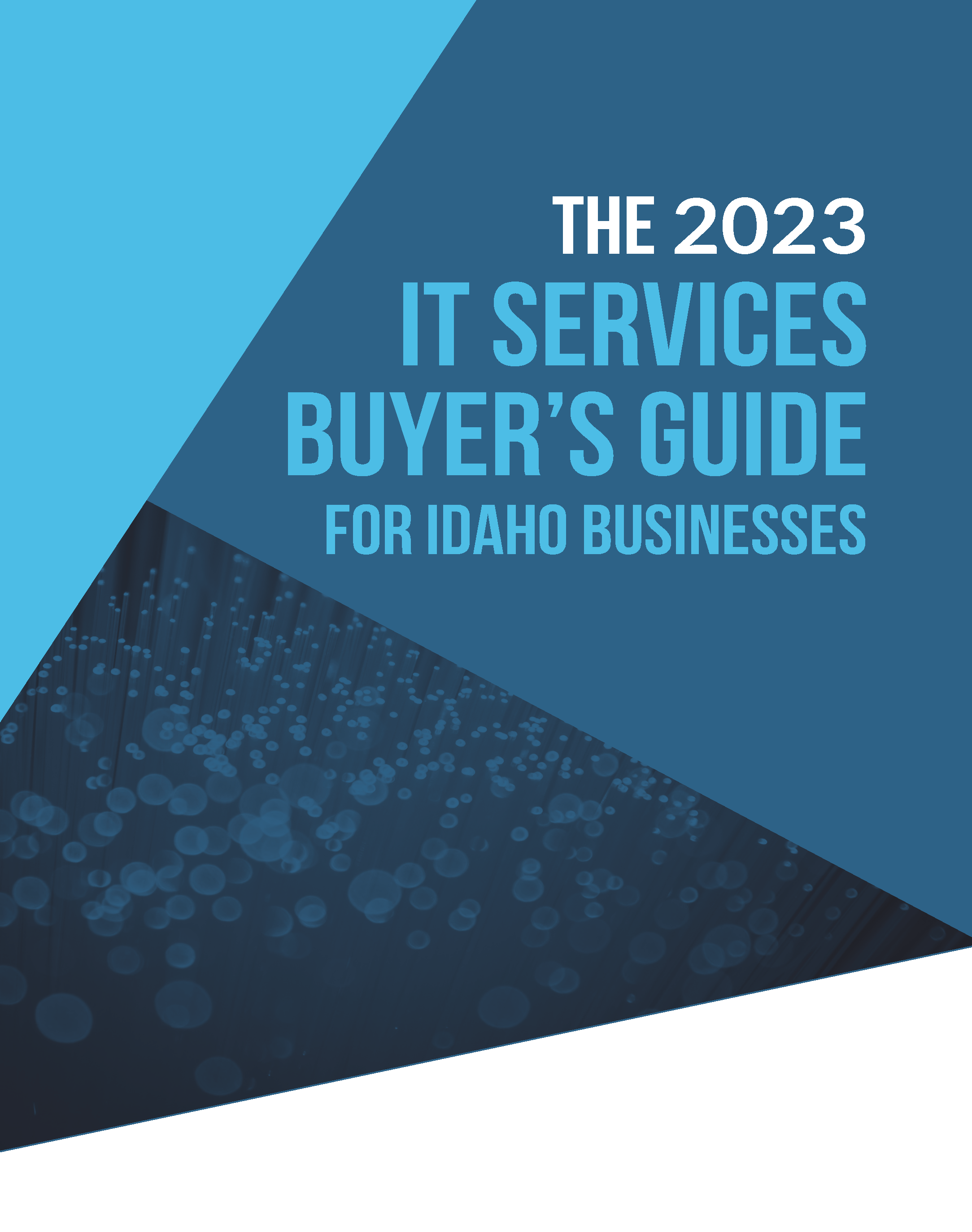 IT+Services+Buyers+Guide+2023+PDF_Page_01