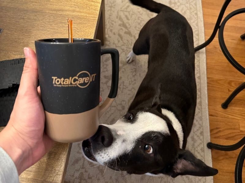 TotalCare IT mug with dog