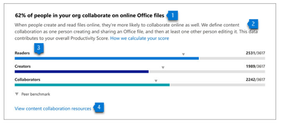 Microsoft Productivity Score Overview